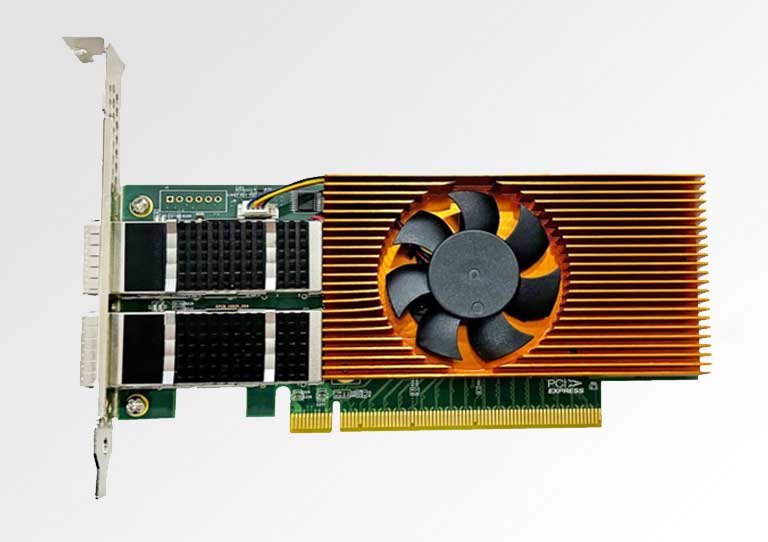 Domestic 100G NIC — FF-1102E-V3.0 (G810-2Q)
